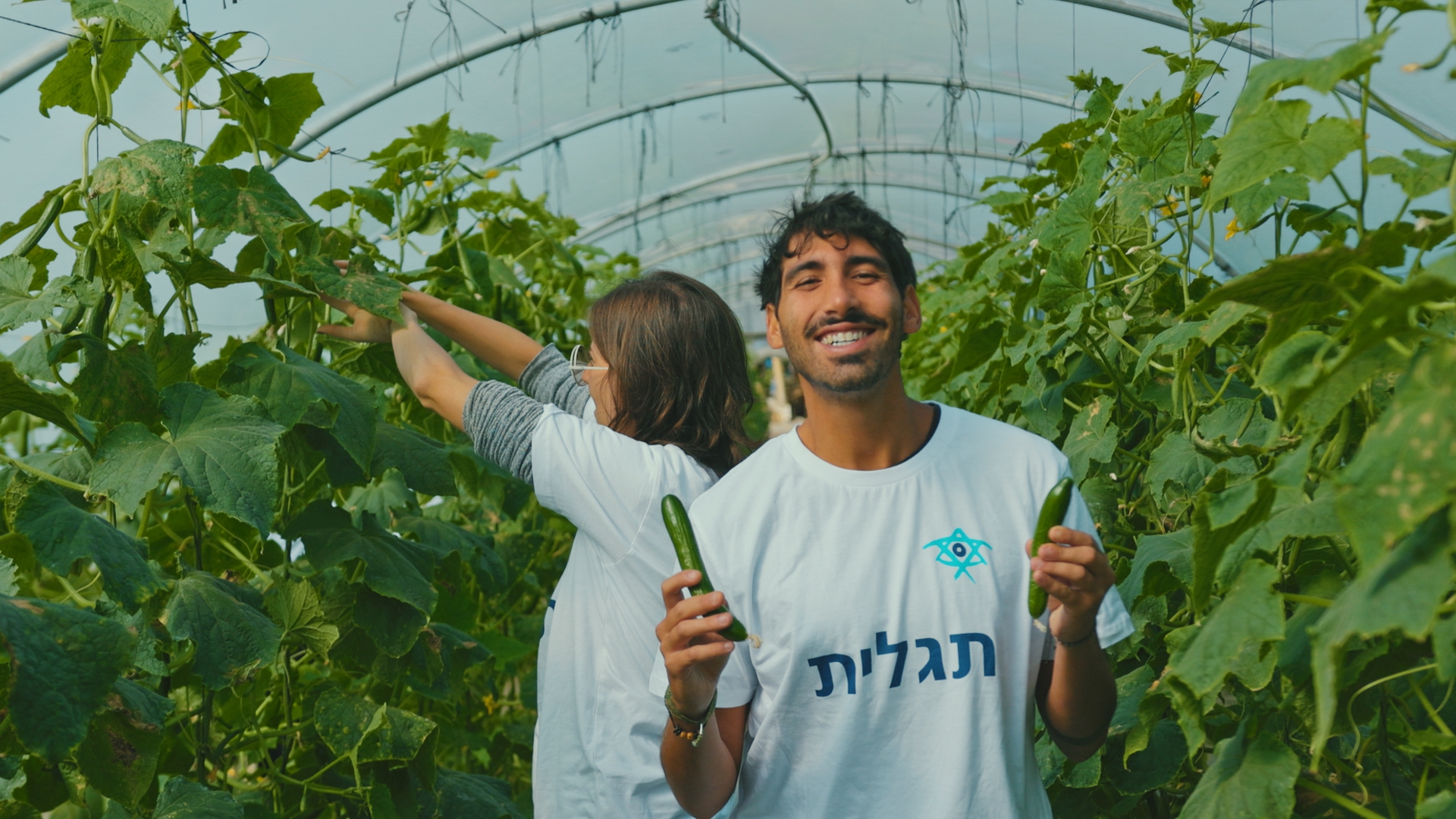 תגלית התנדבות